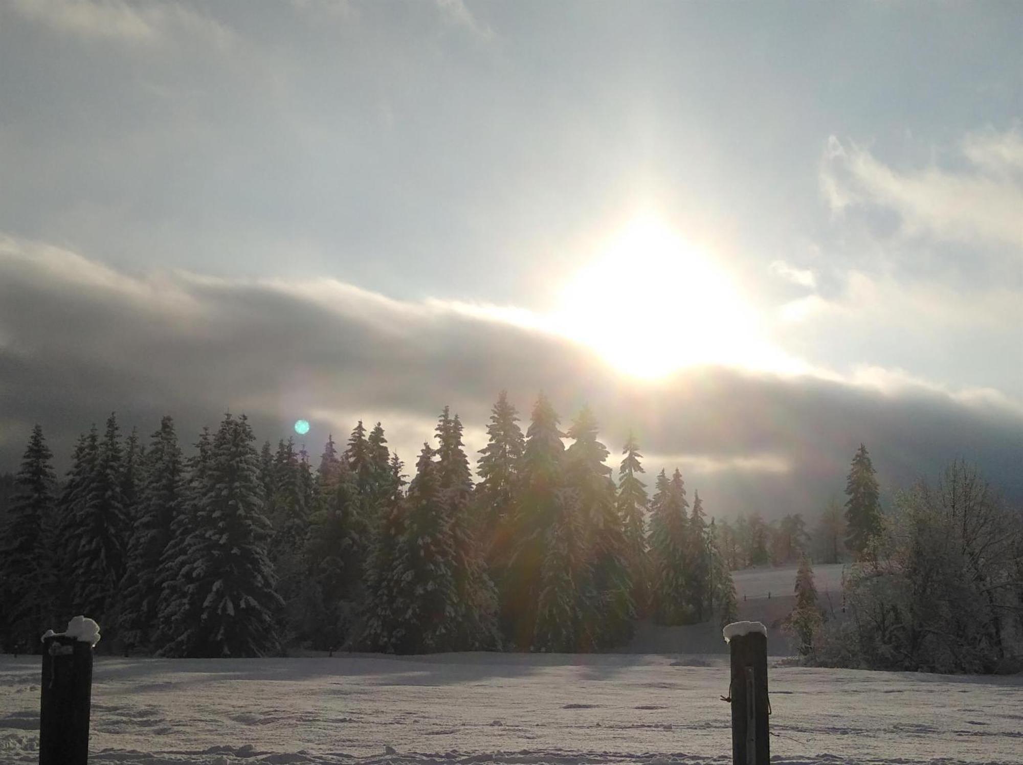 Ferienwohnungen Recherhof Hochfilzen Exteriör bild