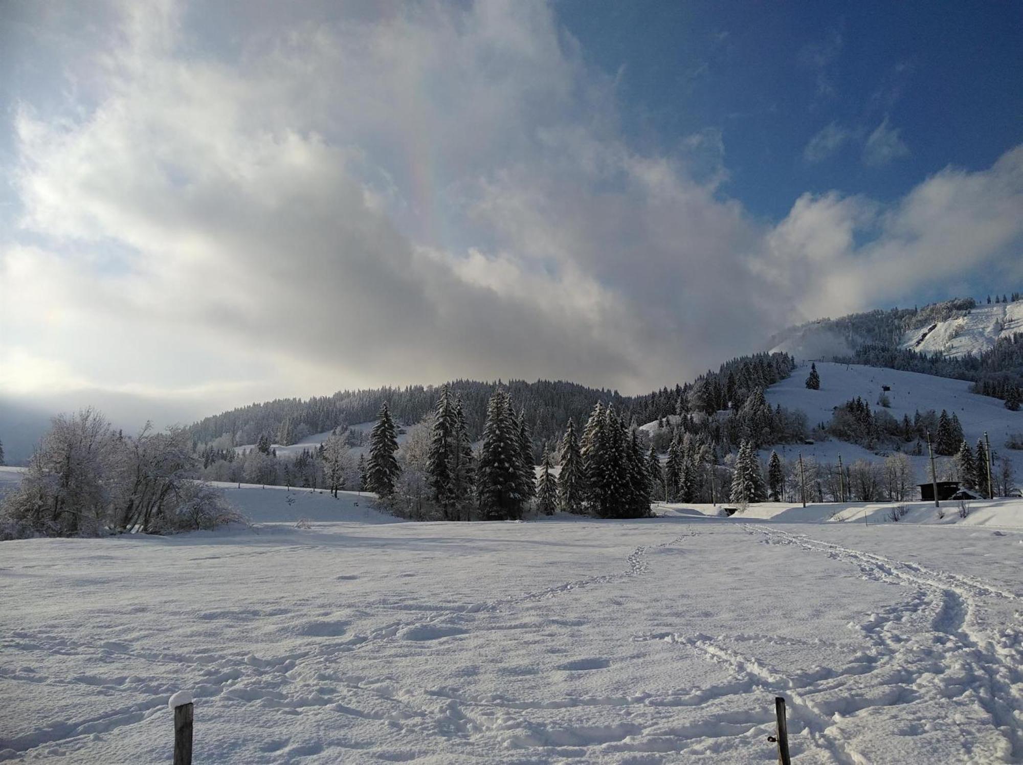 Ferienwohnungen Recherhof Hochfilzen Exteriör bild