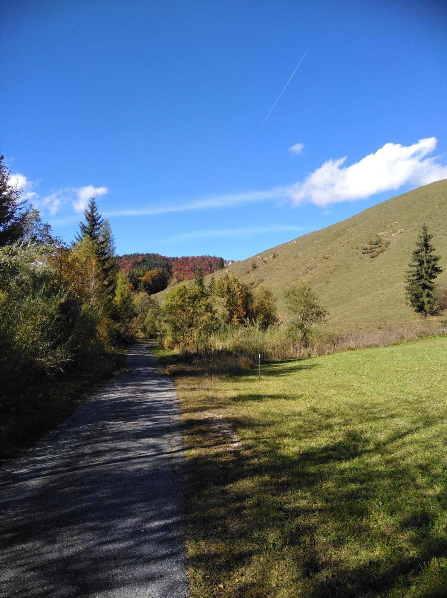 Ferienwohnungen Recherhof Hochfilzen Exteriör bild